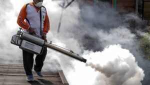 Dinkes Kaltim Catat 3.152 Warga Kaltim Terjangkit DBD, 15 Orang Dinyatakan Meninggal