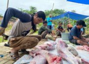 Peringati Hari Raya Idul Adha, Warga Buton Samarinda Sembelih 6 Hewan Kurban