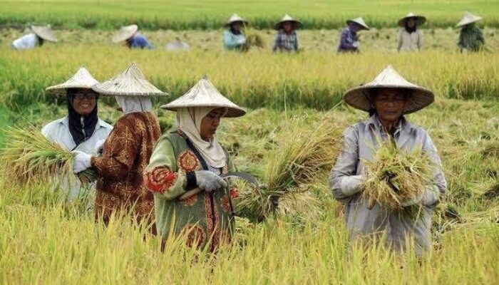 Penguatan Sektor Pertanian Jadi Fokus DPRD Kaltim di Era IKN Nusantara