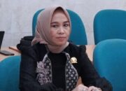 Serangan Buaya di Kutai Timur Resahkan Warga, Anggota DPRD Kaltim Minta Tindakan Tegas