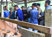Kunjungan Kerja Pansus LKPJ Gubernur Kaltim ke Lokasi PDKT Sapi di Kutai Kartanegara