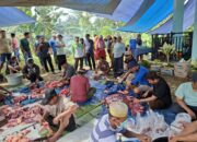 Pererat Silaturahmi, Keraton Kainmas Distribusikan Kurban ke Warga Buton