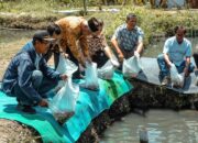 DKP Kukar Telah Salurkan 196 Juta Benih Ikan pada 2026, Realisasi Program Telah Capai 60 Persen