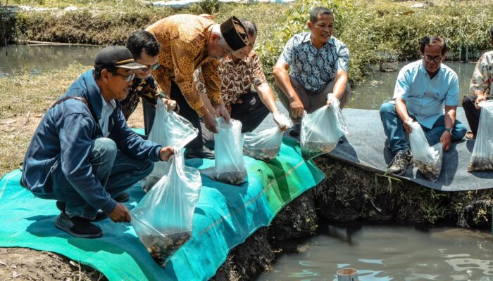 DKP Kukar Telah Salurkan 196 Juta Benih Ikan pada 2026, Realisasi Program Telah Capai 60 Persen