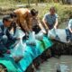 DKP Kukar Telah Salurkan 196 Juta Benih Ikan pada 2026, Realisasi Program Telah Capai 60 Persen